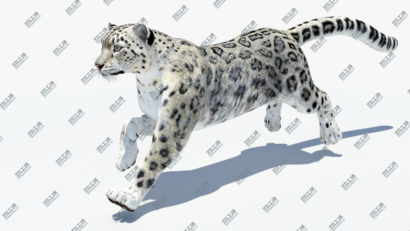 images/goods_img/2021040161/Snow Leopard 2 Animated 3D model/5.jpg
